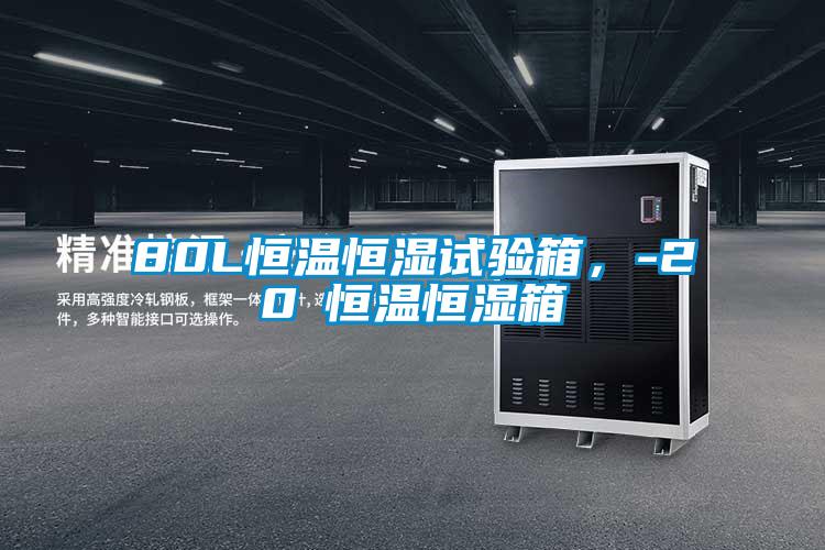 80L恒溫恒濕試驗(yàn)箱，-20℃恒溫恒濕箱