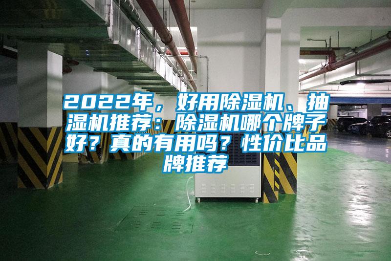 2022年，好用除濕機、抽濕機推薦：除濕機哪個牌子好？真的有用嗎？性價比品牌推薦
