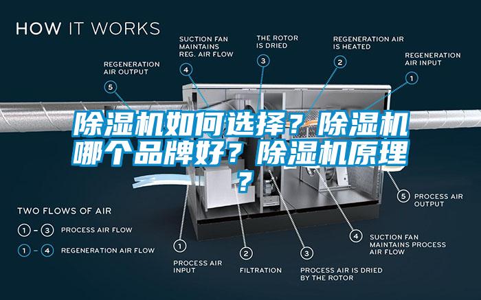 除濕機如何選擇?除濕機哪個品牌好?除濕機原理?
