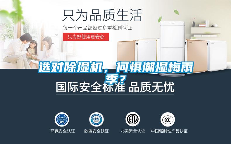 選對除濕機，何懼潮濕梅雨季？