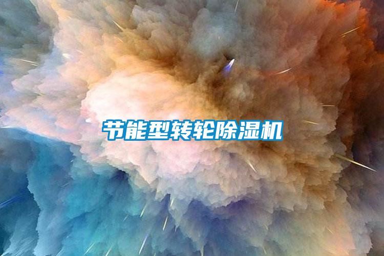 節(jié)能型轉(zhuǎn)輪除濕機(jī)