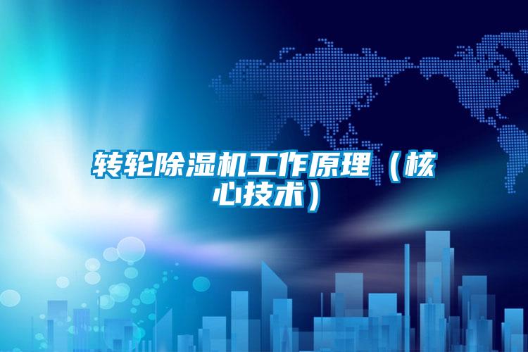 轉(zhuǎn)輪除濕機(jī)工作原理（核心技術(shù)）