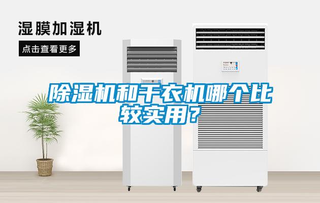 除濕機和干衣機哪個比較實用？