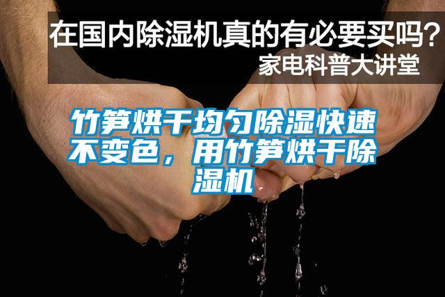 竹筍烘干均勻除濕快速不變色，用竹筍烘干除濕機(jī)