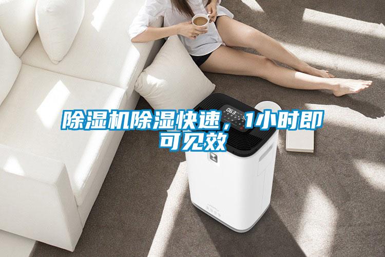除濕機(jī)除濕快速，1小時(shí)即可見(jiàn)效
