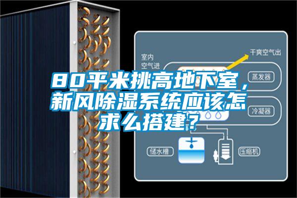 80平米挑高地下室，新風(fēng)除濕系統(tǒng)應(yīng)該怎求么搭建？