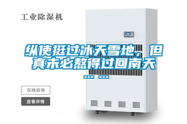 縱使挺過冰天雪地，但真未必熬得過回南天……