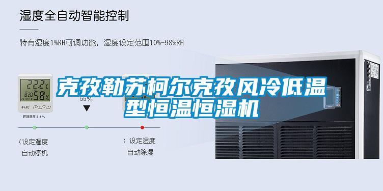克孜勒蘇柯爾克孜風(fēng)冷低溫型恒溫恒濕機