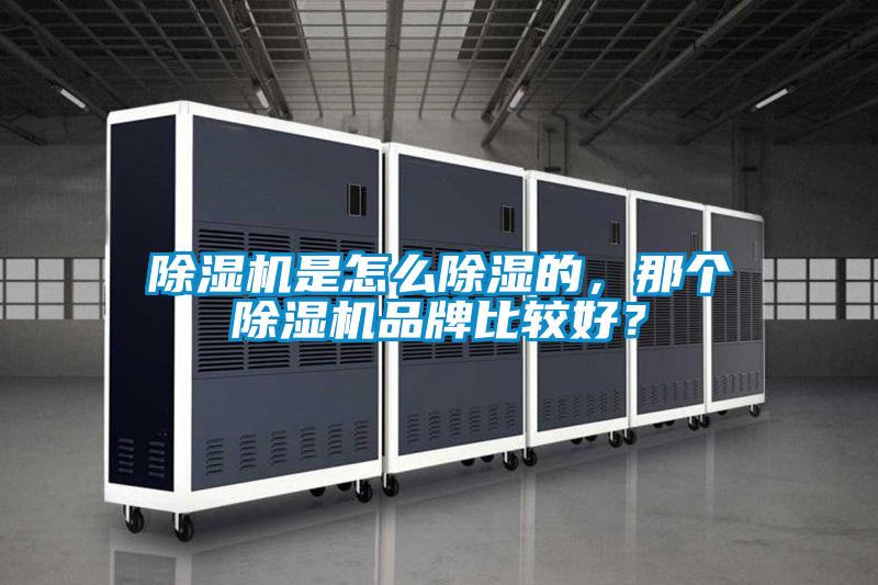 除濕機是怎么除濕的，那個除濕機品牌比較好？