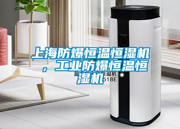 上海防爆恒溫恒濕機 ，工業(yè)防爆恒溫恒濕機