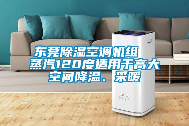 東莞除濕空調(diào)機(jī)組  蒸汽120度適用于高大空間降溫、采暖