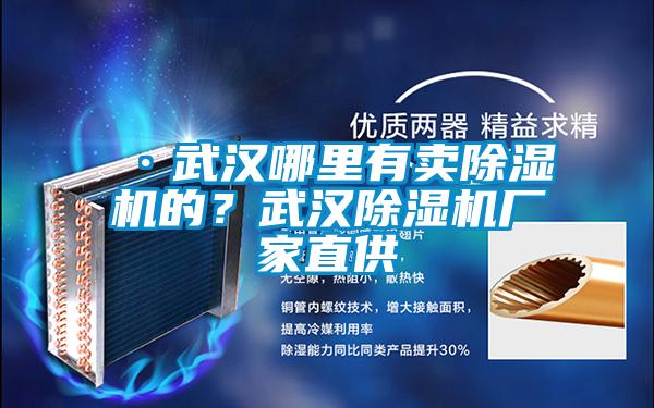 ·武漢哪里有賣除濕機(jī)的？武漢除濕機(jī)廠家直供