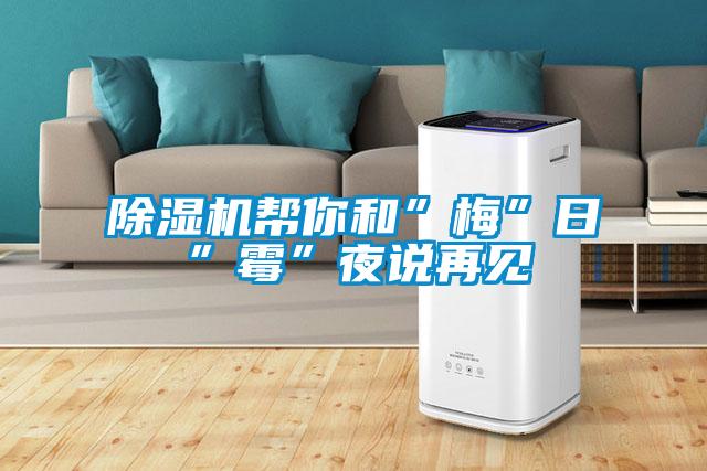 除濕機(jī)幫你和”梅”日”霉”夜說再見