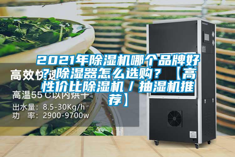 2021年除濕機哪個品牌好？除濕器怎么選購？【高性價比除濕機／抽濕機推薦】