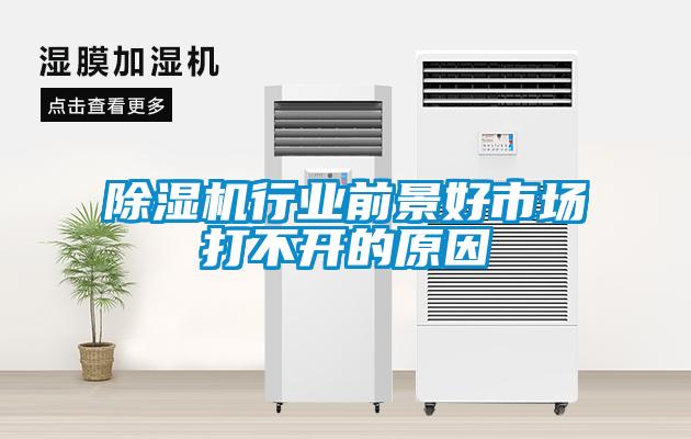 除濕機(jī)行業(yè)前景好市場(chǎng)打不開的原因