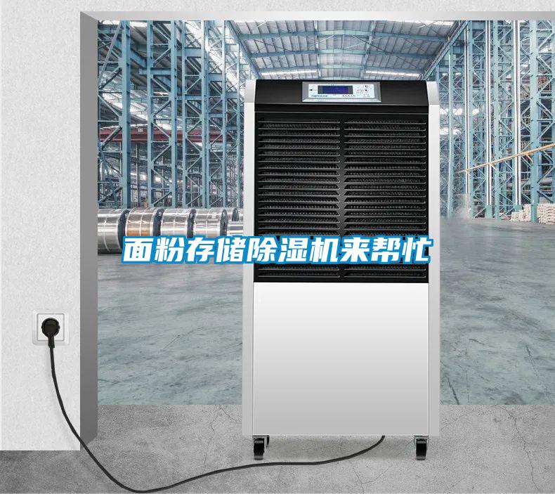 面粉存儲(chǔ)除濕機(jī)來(lái)幫忙