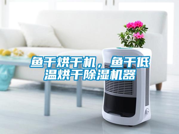 魚干烘干機，魚干低溫烘干除濕機器