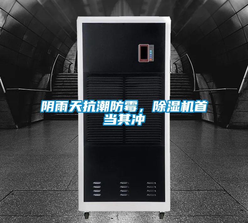 陰雨天抗潮防霉，除濕機(jī)首當(dāng)其沖