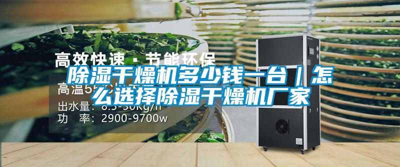除濕干燥機(jī)多少錢一臺｜怎么選擇除濕干燥機(jī)廠家