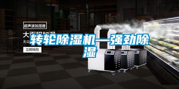 轉(zhuǎn)輪除濕機(jī)—強勁除濕