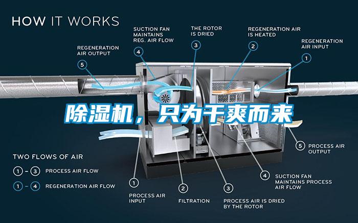 除濕機，只為干爽而來