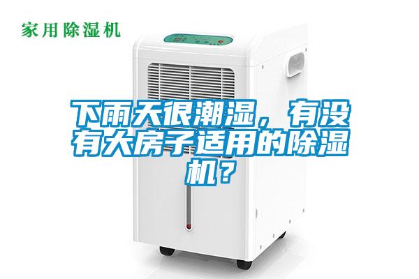 下雨天很潮濕，有沒(méi)有大房子適用的除濕機(jī)？