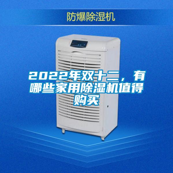 2022年雙十二，有哪些家用除濕機(jī)值得購買
