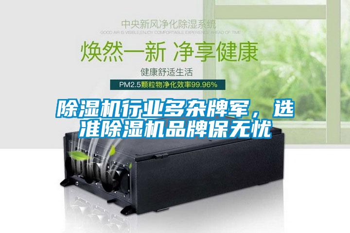除濕機(jī)行業(yè)多雜牌軍，選準(zhǔn)除濕機(jī)品牌保無憂