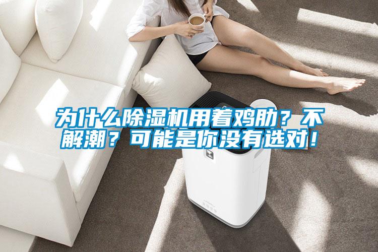 為什么除濕機用著雞肋？不解潮？可能是你沒有選對！