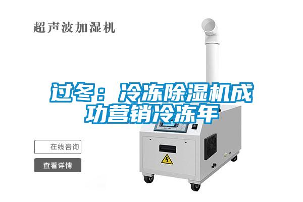 過冬：冷凍除濕機(jī)成功營(yíng)銷冷凍年