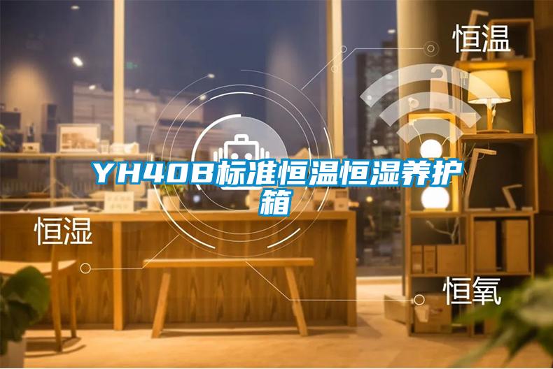 YH40B標(biāo)準(zhǔn)恒溫恒濕養(yǎng)護(hù)箱