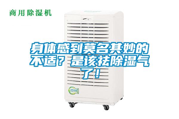 身體感到莫名其妙的不適？是該祛除濕氣了！