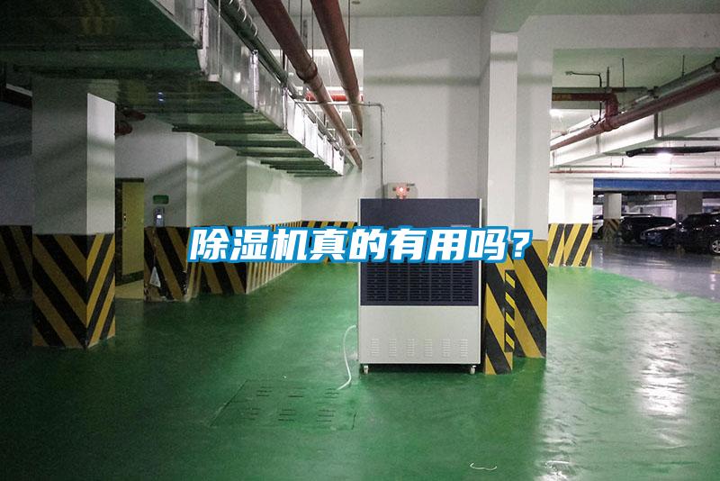 除濕機真的有用嗎？