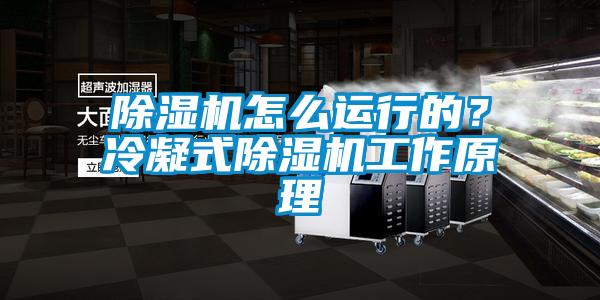 除濕機(jī)怎么運(yùn)行的？冷凝式除濕機(jī)工作原理