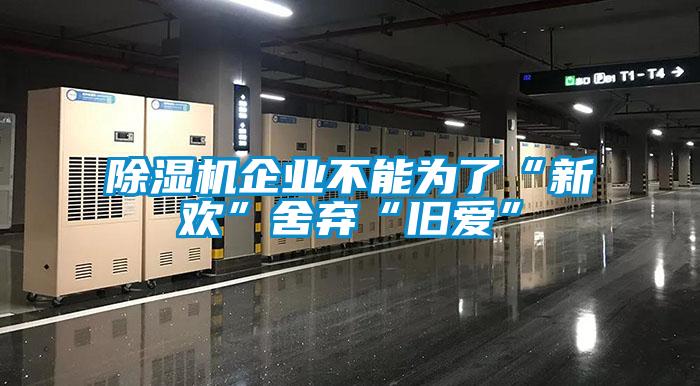 除濕機(jī)企業(yè)不能為了“新歡”舍棄“舊愛(ài)”