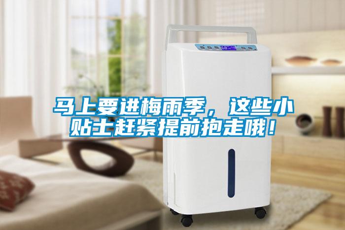 馬上要進(jìn)梅雨季，這些小貼士趕緊提前抱走哦！