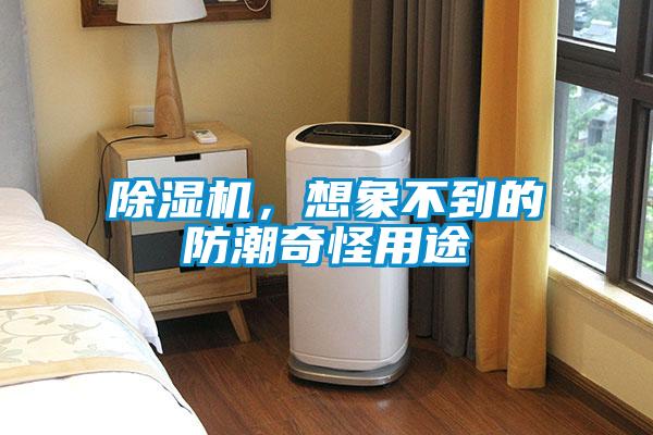除濕機(jī)，想象不到的防潮奇怪用途