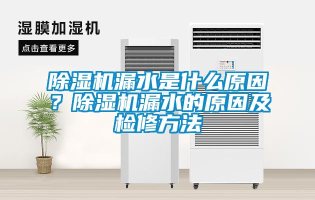 除濕機(jī)漏水是什么原因？除濕機(jī)漏水的原因及檢修方法