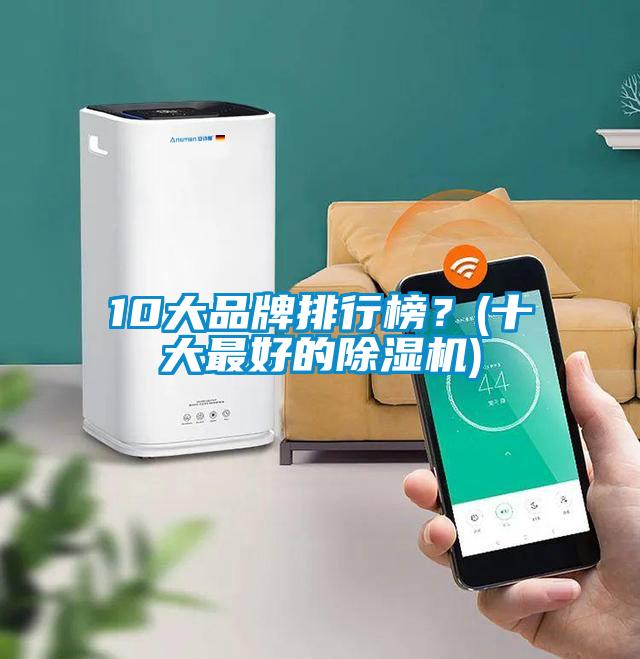 10大品牌排行榜？(十大最好的除濕機)