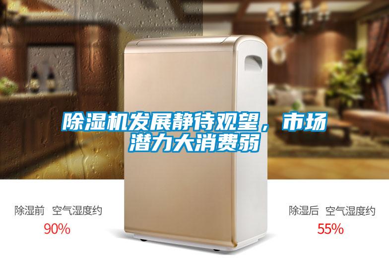除濕機(jī)發(fā)展靜待觀望，市場(chǎng)潛力大消費(fèi)弱