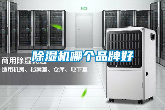 除濕機(jī)哪個品牌好