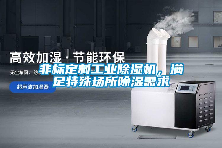 非標(biāo)定制工業(yè)除濕機(jī)，滿(mǎn)足特殊場(chǎng)所除濕需求