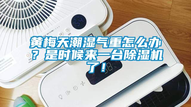 黃梅天潮濕氣重怎么辦？是時(shí)候來(lái)一臺(tái)除濕機(jī)了！