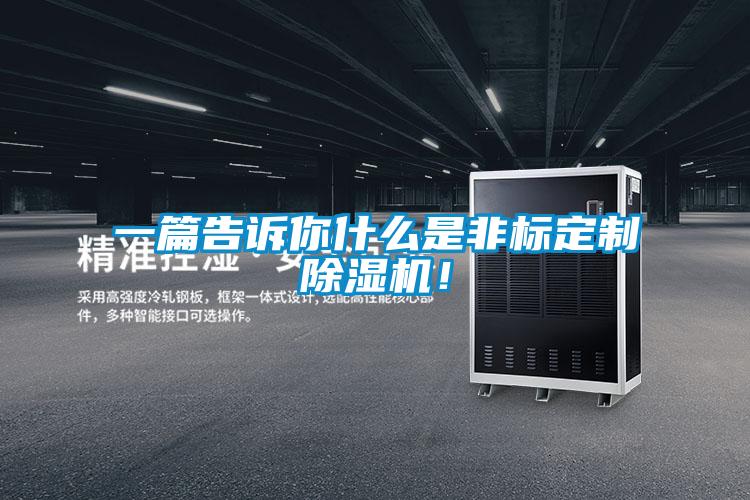 一篇告訴你什么是非標(biāo)定制除濕機(jī)！