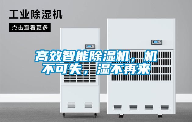 高效智能除濕機，機不可失，濕不再來