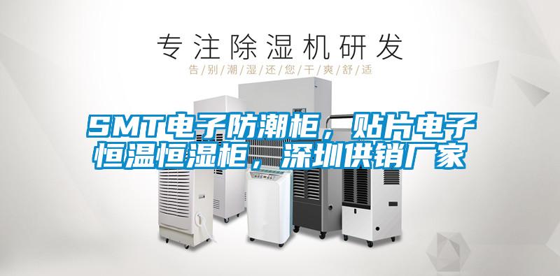SMT電子防潮柜，貼片電子恒溫恒濕柜，深圳供銷廠家