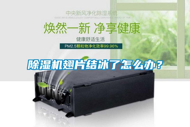 除濕機翅片結(jié)冰了怎么辦？