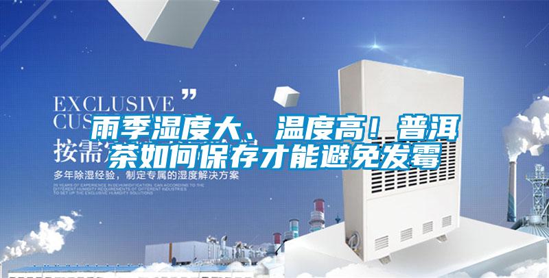 雨季濕度大、溫度高！普洱茶如何保存才能避免發(fā)霉
