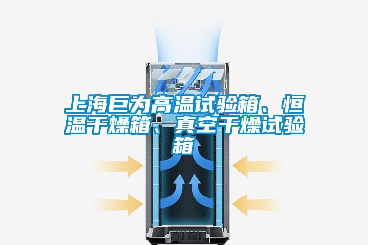 上海巨為高溫試驗箱、恒溫干燥箱、真空干燥試驗箱