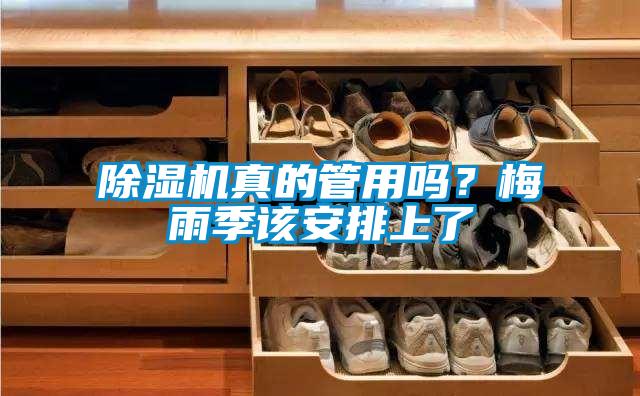 除濕機(jī)真的管用嗎？梅雨季該安排上了